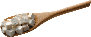 茯苓